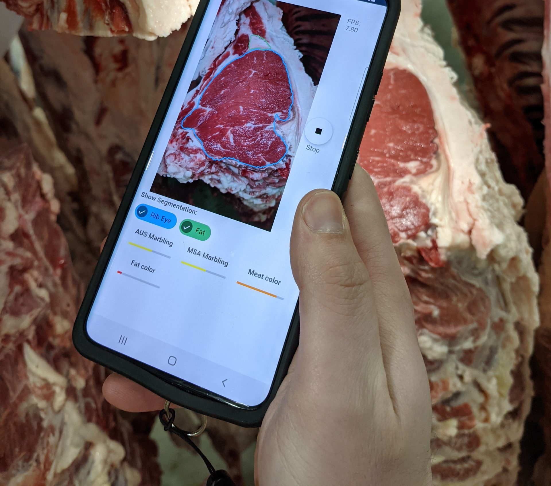 Video-based meat grading camera receives AusMeat tick of approval + VIDEO