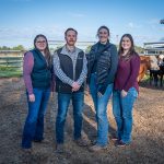 Repeat buyers bid up to $26,000 for top Alumy Creek Angus bulls | The Land