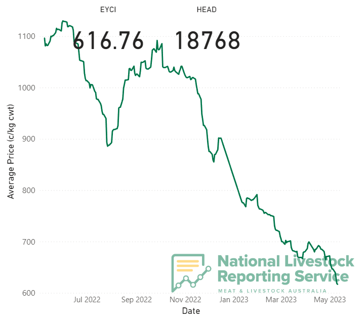 Saleyards see significant price drops as EYCI slides to 616c