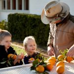 WA cattle market outguns the east