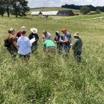 Hereford feeding programs reap rewards for participants