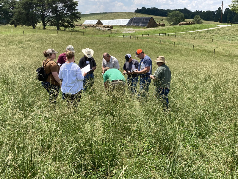 Indiana Grazing Schools return | Beef Magazine