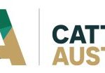 Entries open for Melbourne Royal Show 2023 carcase competition