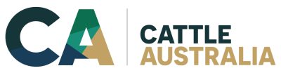 Cattle Australia director spotlight: Bryce Camm