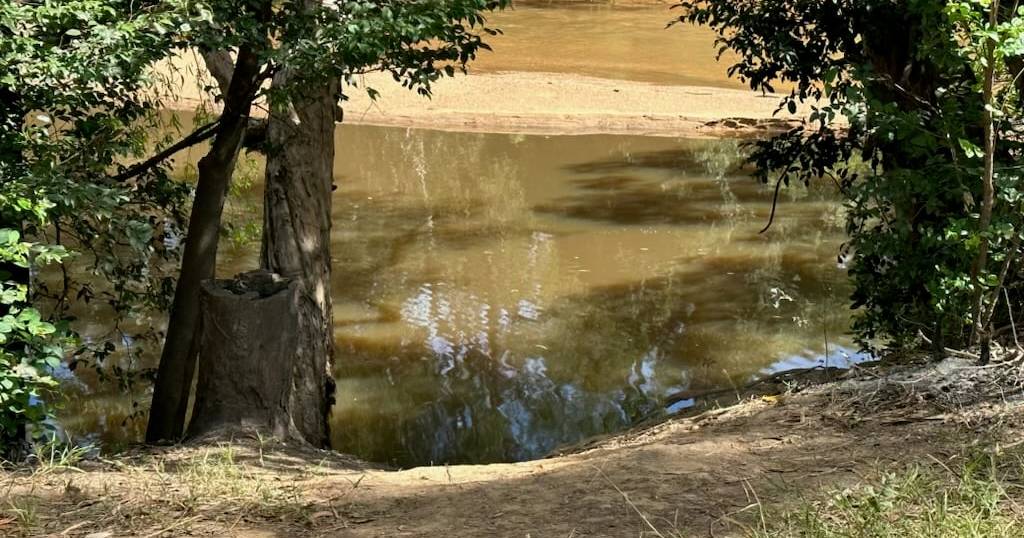 Search for man missing in Lakefield NP suspended after human remains found in croc | North Queensland Register