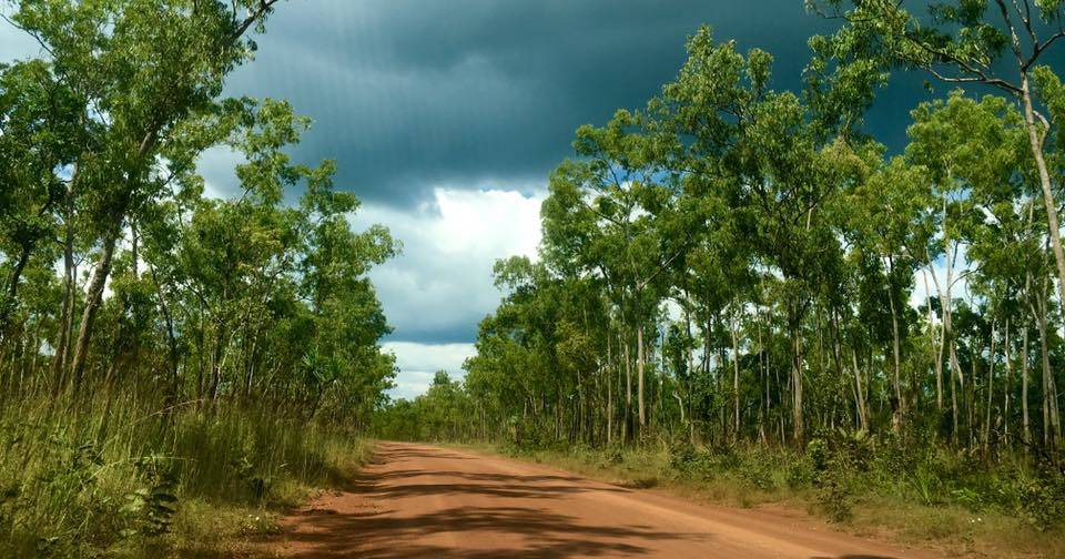 Northern Australia ‘insulted, forgotten’ in Federal Budget – Senator Susan McDonald | The North West Star