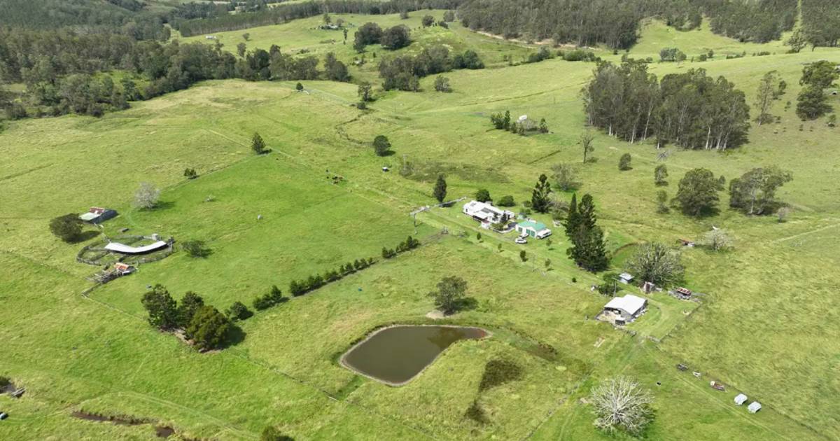 Reliable cattle country in a high rainfall zone | Video