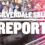 Quality cattle country sold at auction | Video