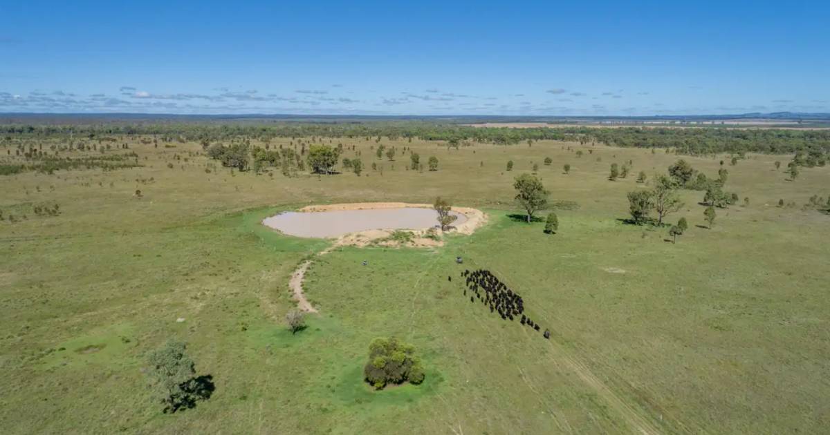 Lachlan Downs makes $917/acre | Video