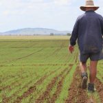 Southern Queensland Landscapes’ $2.1 million project to recover bare ground underway | Queensland Country Life