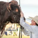 Countdown on to Isa's newest rodeo