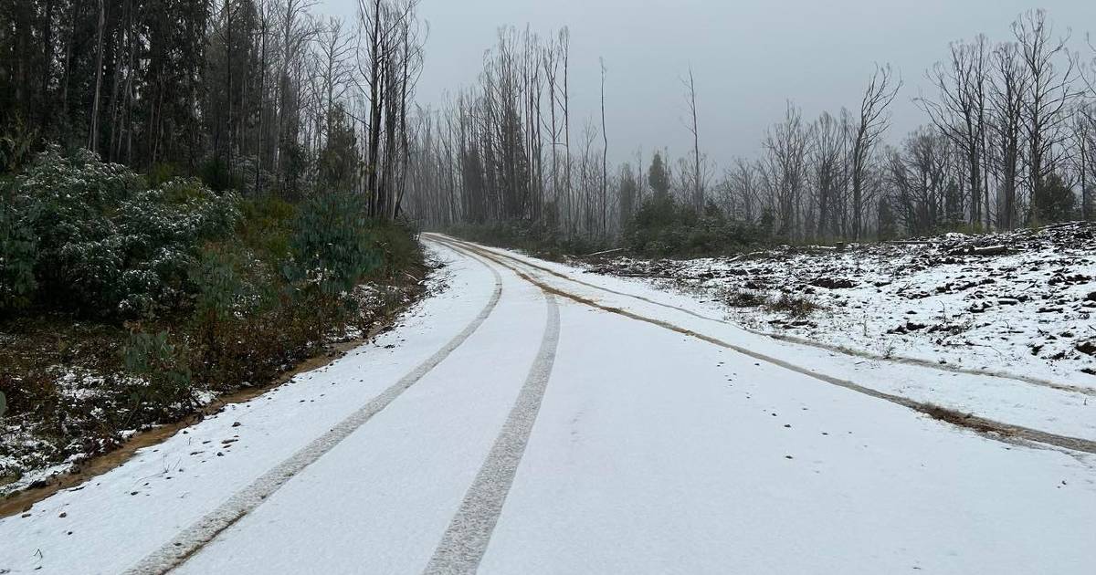 Travellers warned as snow alert issued for Riverina highway