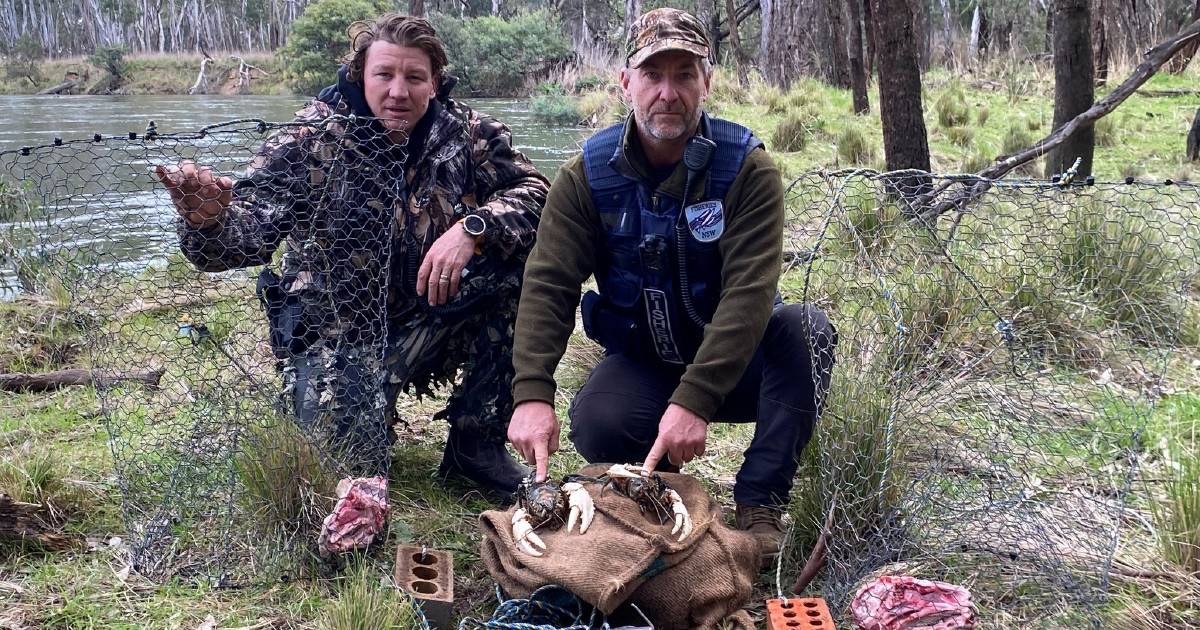 Man fined nearly $10,000 over illegal Murray crayfish seizure