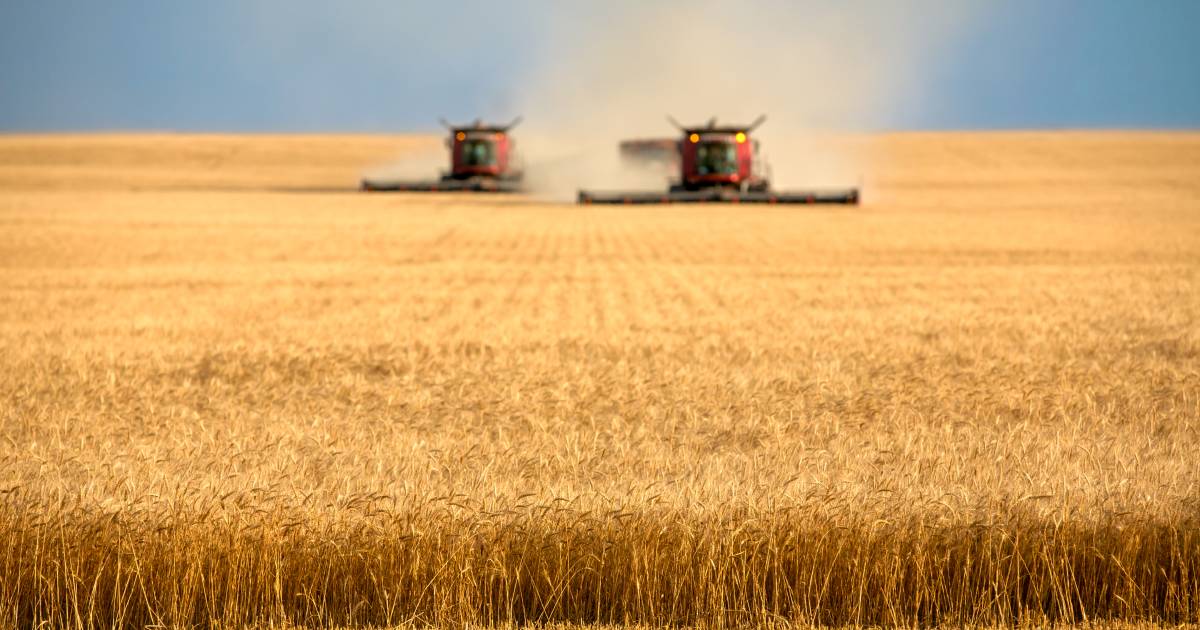 Growers face testing weather