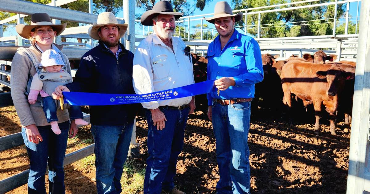 Blackall Show sale attracts 1100 cattle from around central west Qld | Queensland Country Life