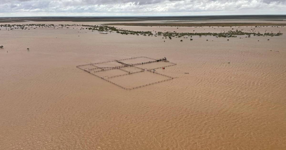 Wetter than usual wet season bookended by cyclones