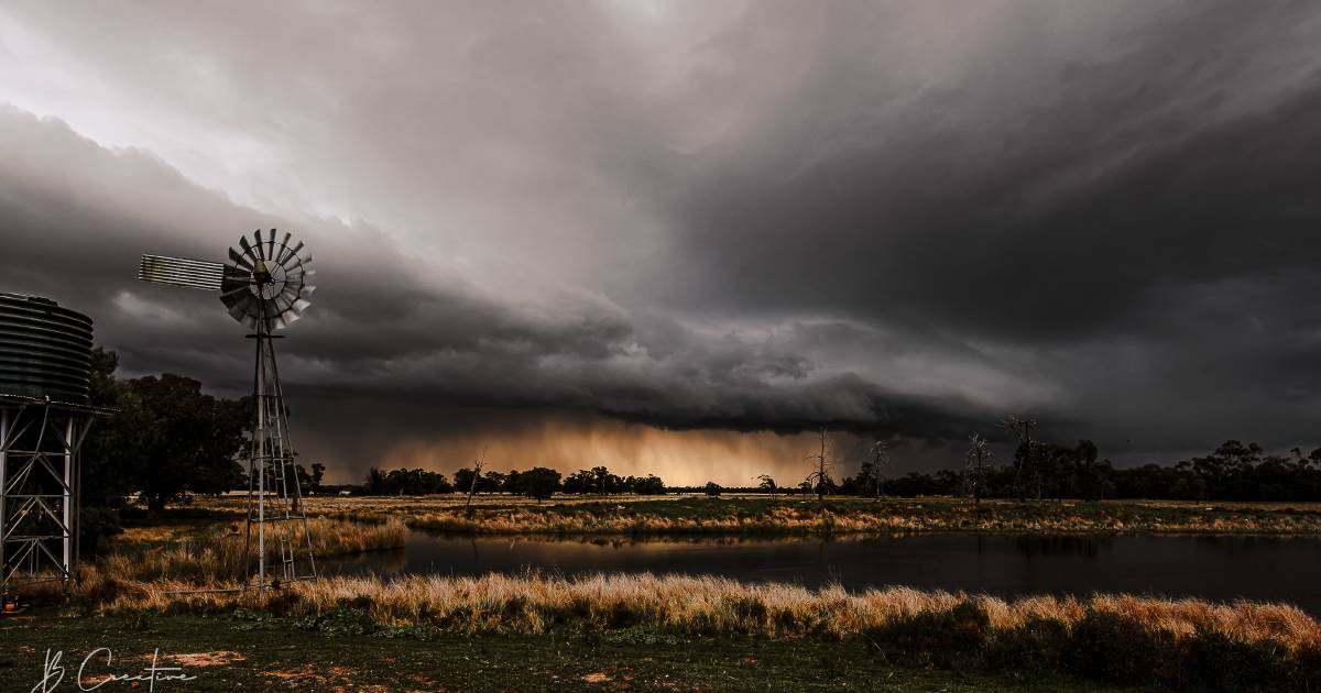 Rural NSW photographers creating beauty through pictures | The Land