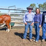 Fierce junior competition in the Dubbo show cattle ring