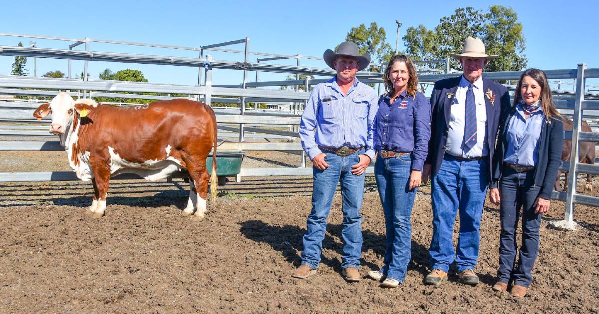 Riverton Brafords dispersal sale gains commercial and stud support at CQLX Gracemere to achieve a full clearance result | Queensland Country Life