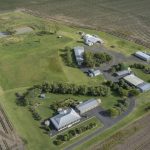 Hundreds of ewes and wethers stolen from Trundle property