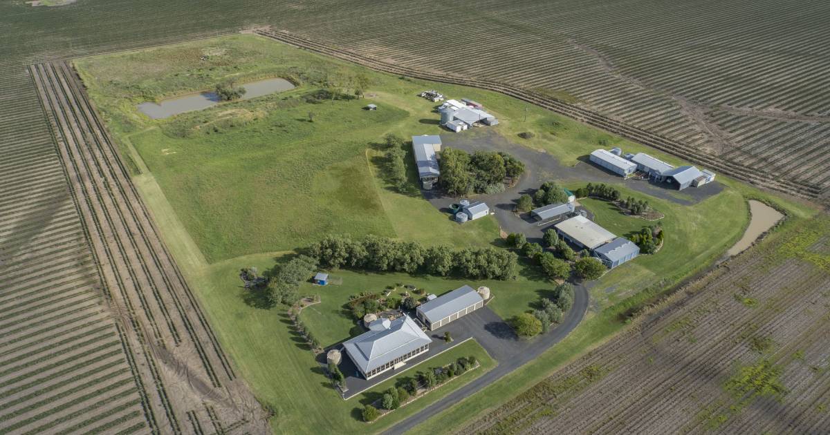 Darling Downs grain farm sold for $5237/acre | Video