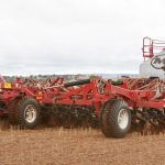 Skipping rows pays off for Seabrooks' peanut crop