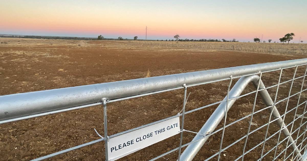 Queensland drought committees meet to decide shire drought statuses | Queensland Country Life