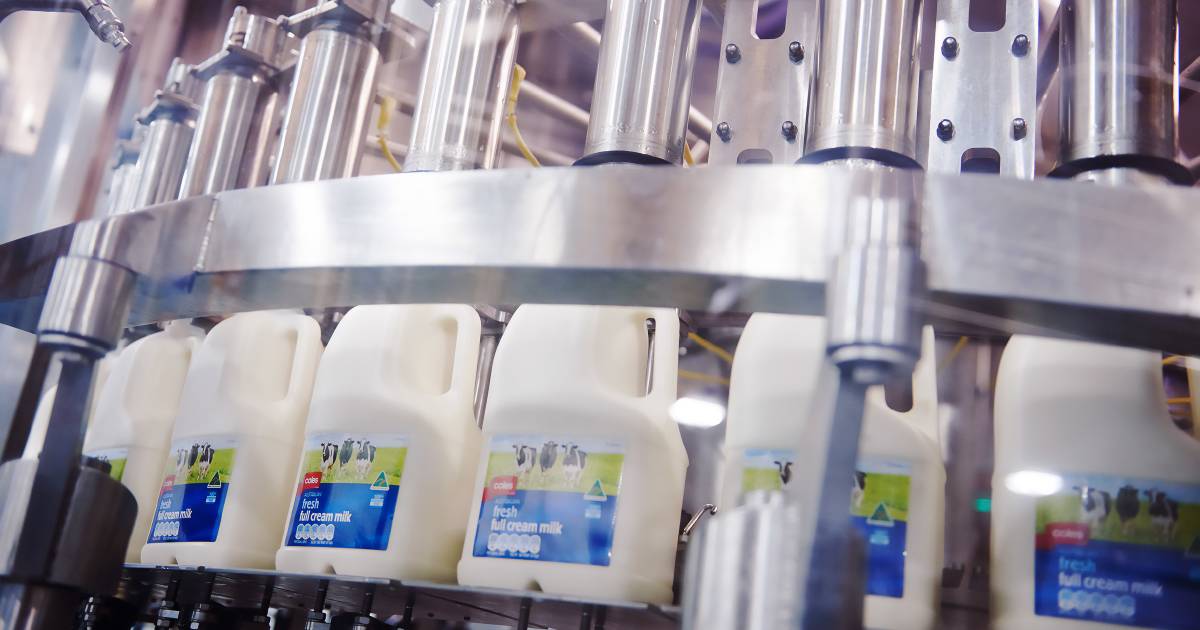 Dairy farmers fear Coles market power with Saputo sale