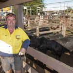 Brangus steers win at Silverdale weaner sale