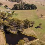 Saleyards see significant price drops as EYCI slides to 616c