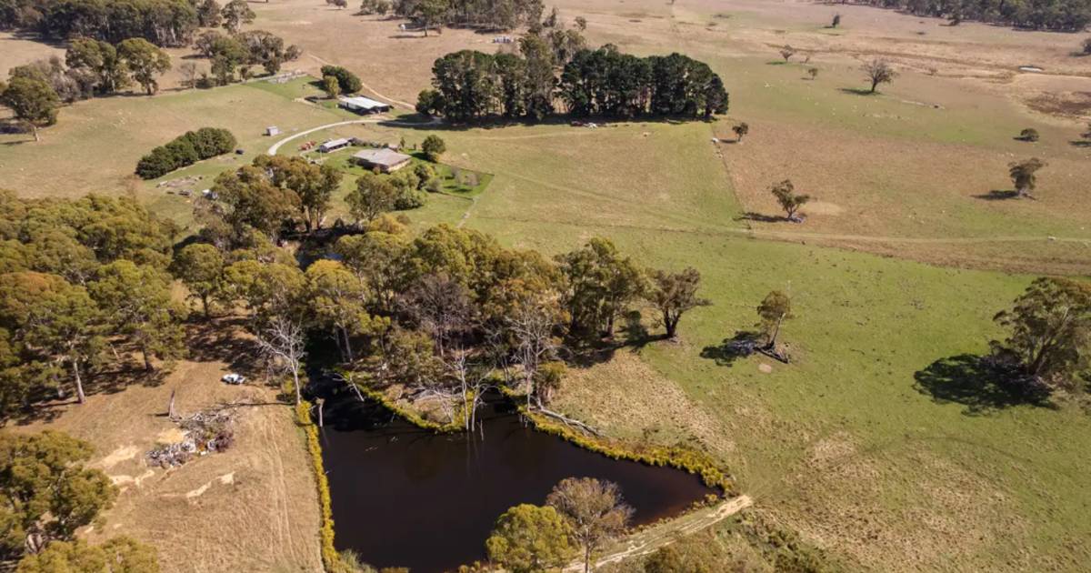 Glenheath ideal for both sheep and cattle | Video