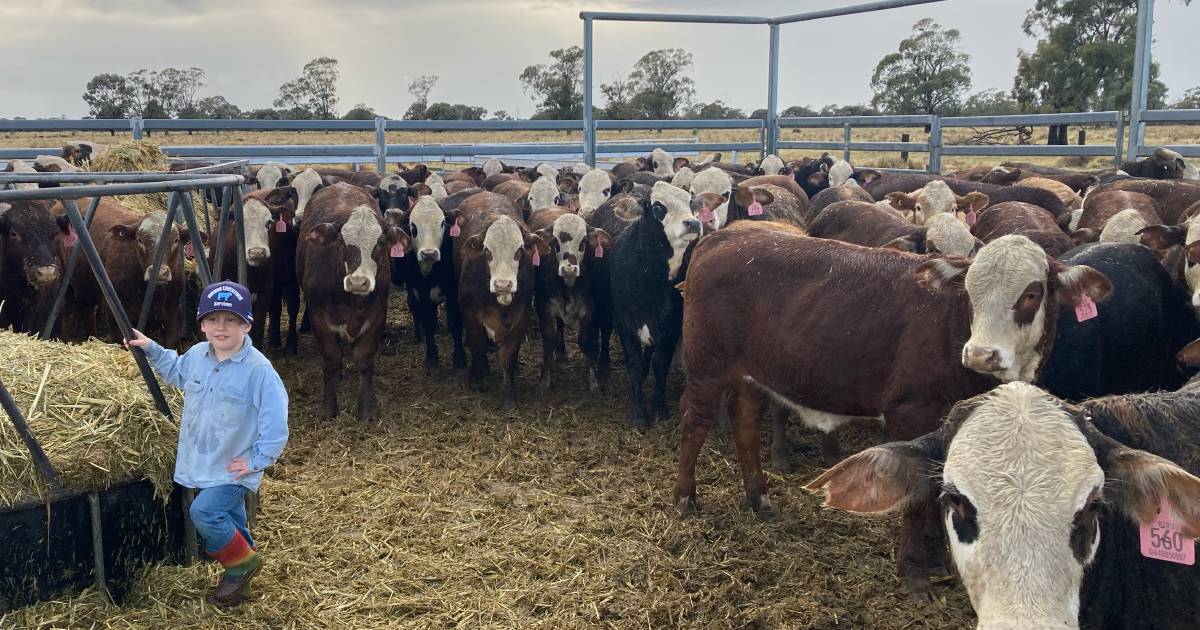 "Liquid gold" delivers in time on the Darling and Western Downs