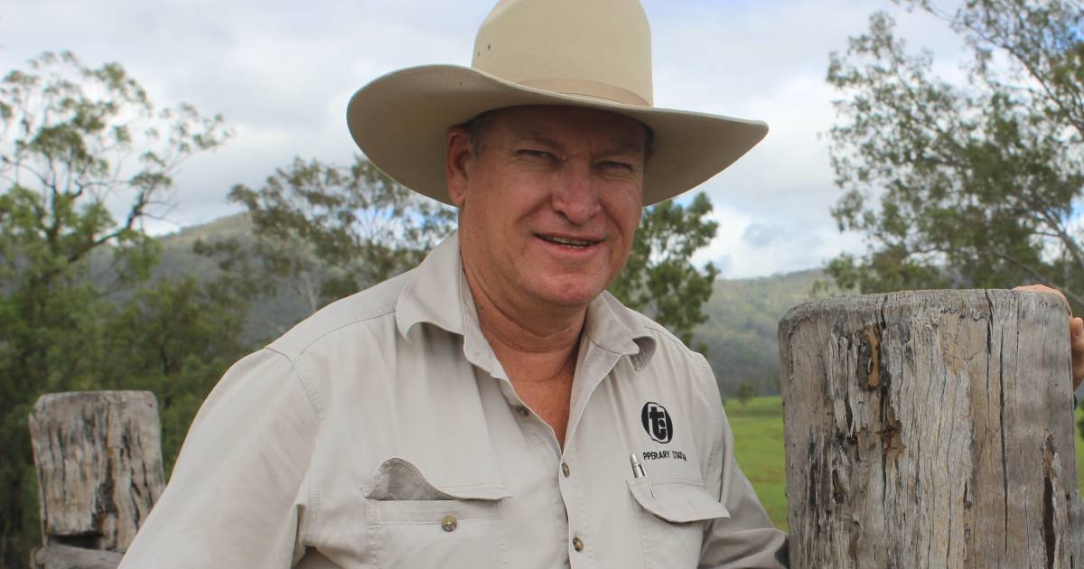 Queensland producers filling the Indo and Vietnam boats as the industry gets off to a slow start | Queensland Country Life