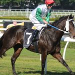 NT, QLD to keep watch for new livestock diseases