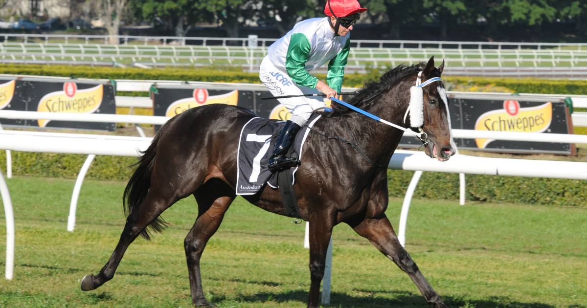 Better Land juveniles excite on the track