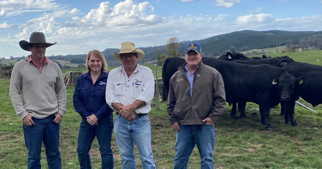 Crawford Angus hit a top $25,000, 35 sold | The Land