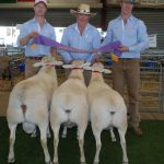 Rocdell reign supreme at NSW Sheep Show