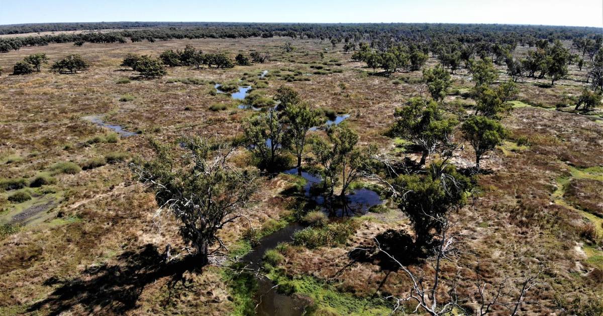 Pristine river flood-out property with grazing opportunities