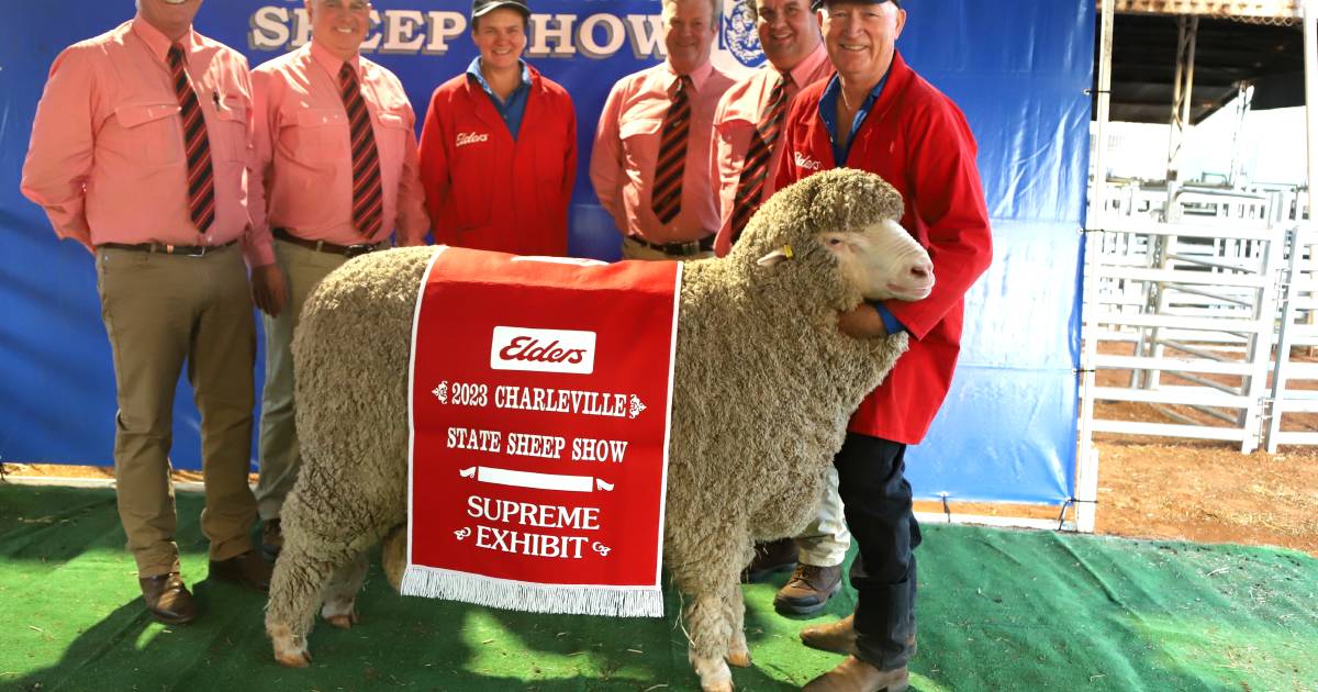 Tamaleuca's supreme surprise at Queensland State Sheep Show