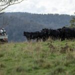 "Liquid gold" delivers in time on the Darling and Western Downs