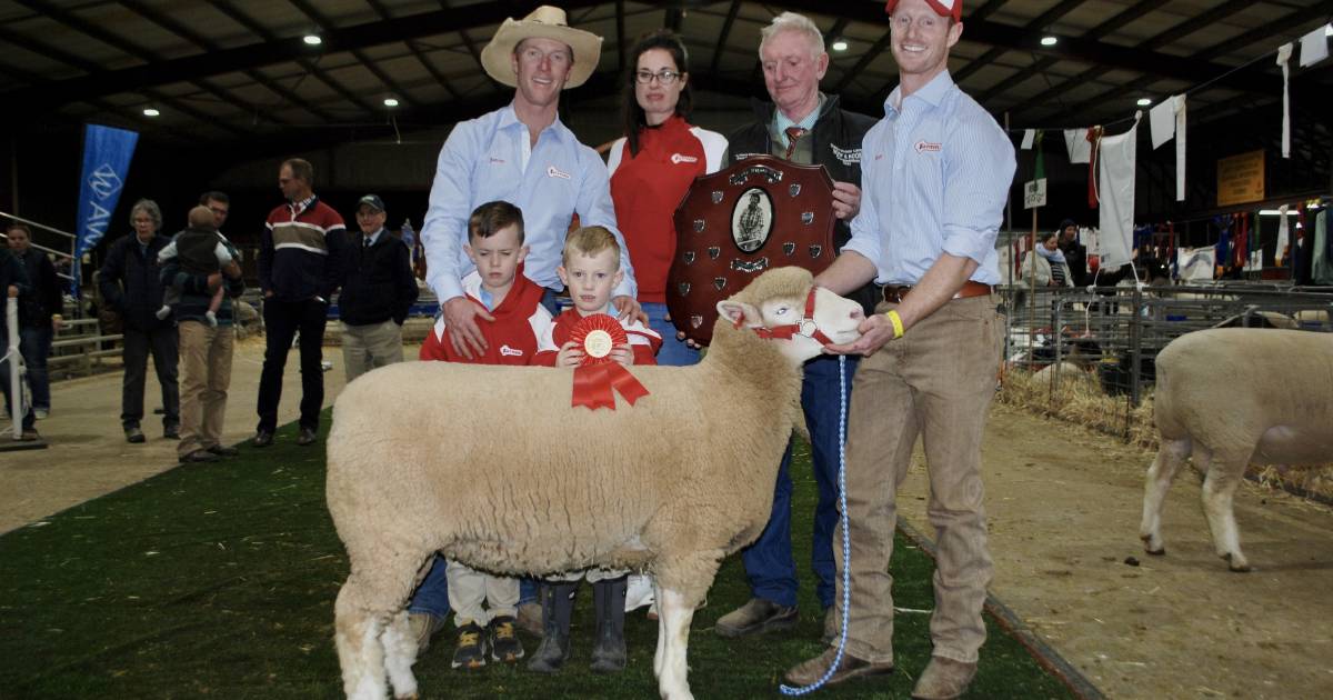 Tenth year as supreme sheep exhibit for Tattykeel