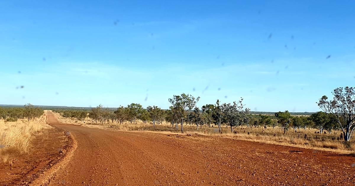 Gulf Savannah recording land change memories to monitor differences | The North West Star