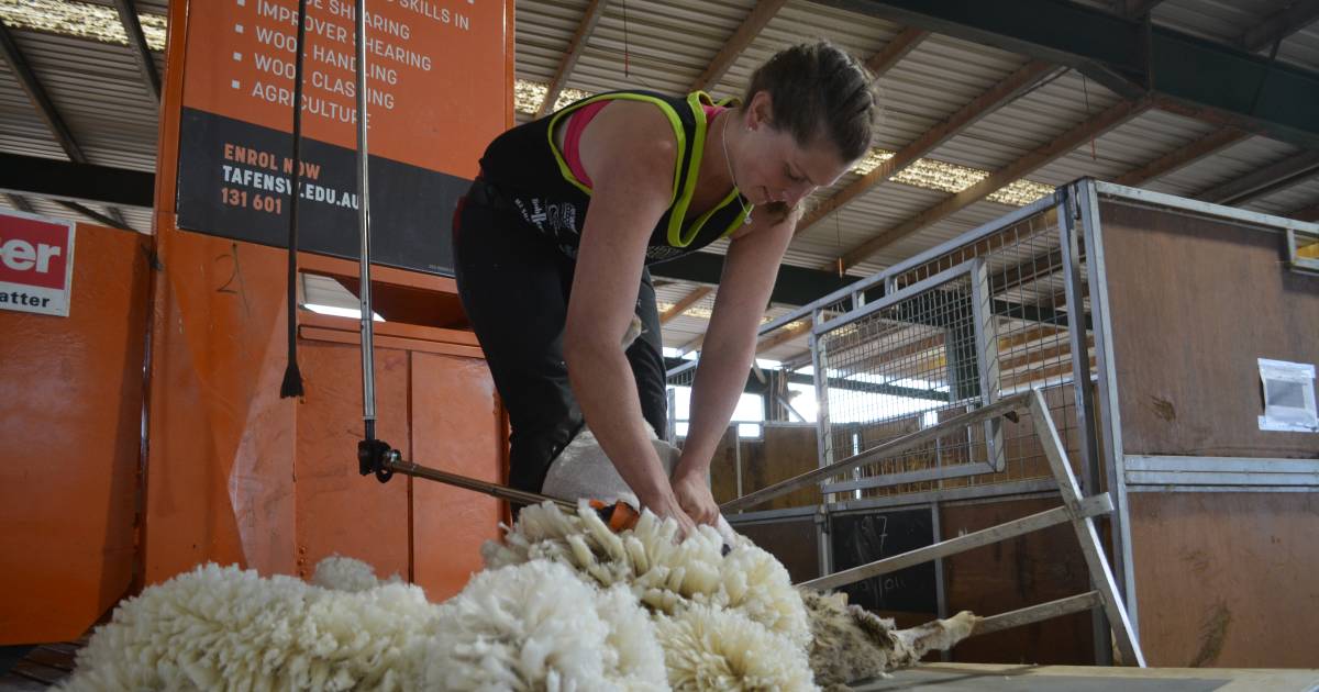 Trifecta for Nicki Guttler at NSW sports shear final