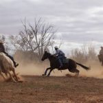 Fowlers big winners at Biggenden