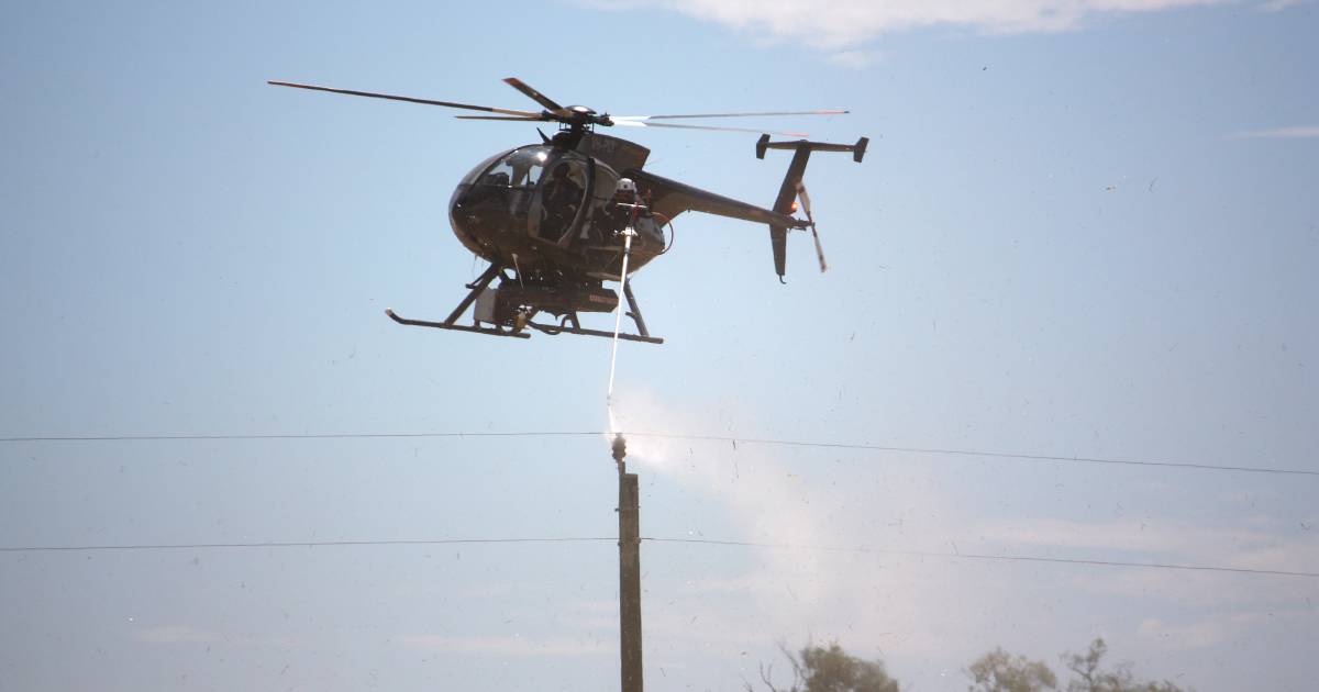 Thousands more power lines to be cleaned for fire prevention