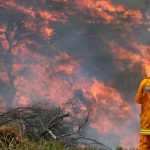 Bourke locals clean-up at fashions on the field