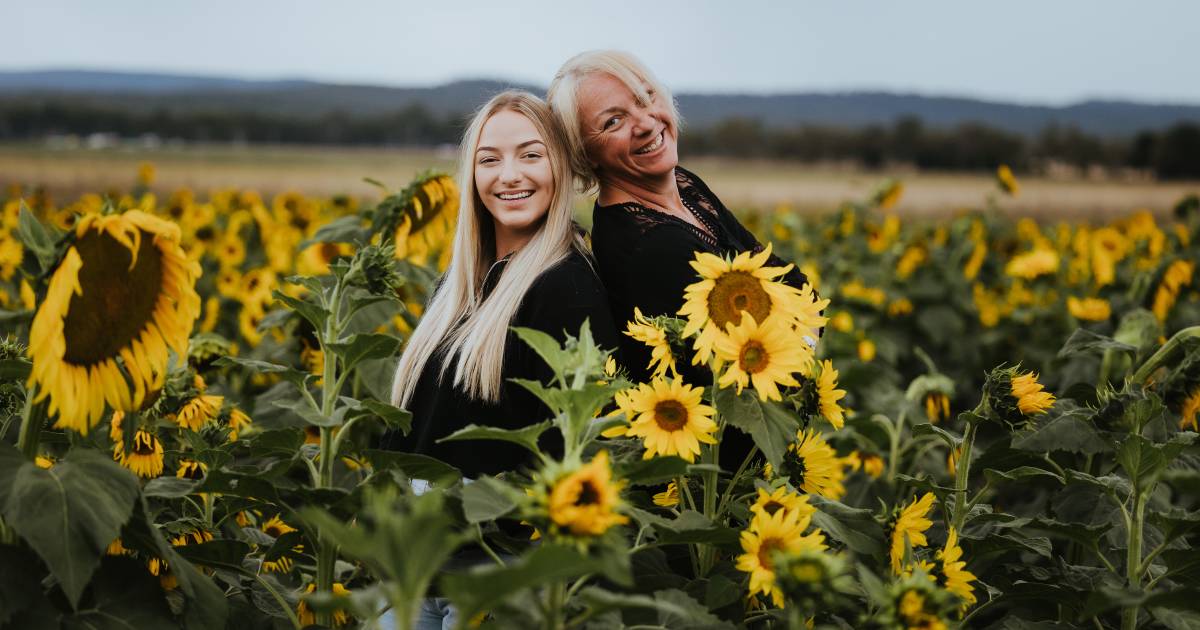 Sunflowers brighten up Monto highway