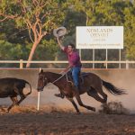 Simmental cross weaner steers sell for 404c at Blackall | Queensland Country Life