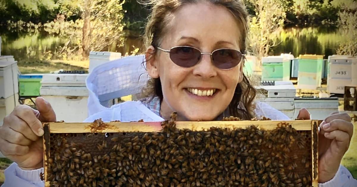 'This may be a ground-breaking varroa solution': Qld bee breeder