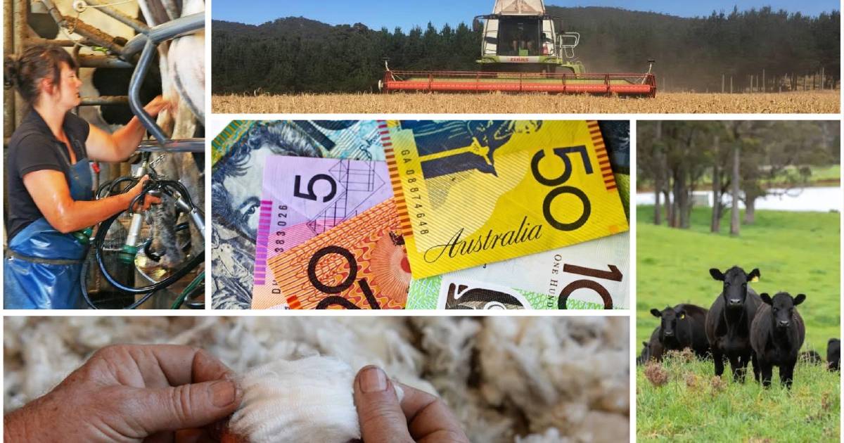 Australian farm levy payers list topped by grain growers | Queensland Country Life